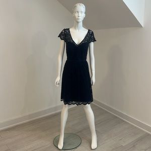 SAMPLE SALE NWT Jenny Yoo JY509 size 10 Midnight Blue Lace. Pristine.